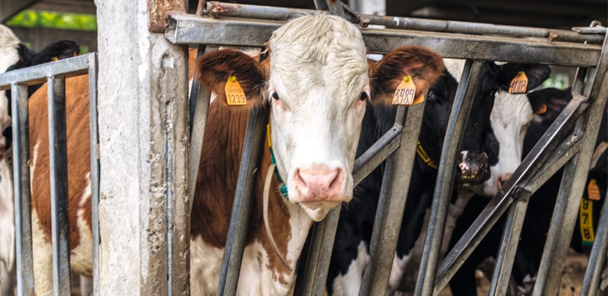 rp222_PiP_bio_hombre_slider4