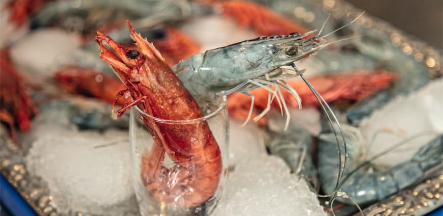 rp224_fandb_la_perla_slider4