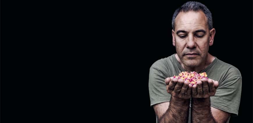 rp224_mediadaten_kraeuter_aufmacher_slider