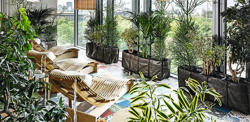 rp227_hoffmann_slider1