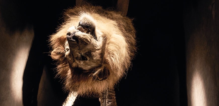 rp228-alajmo-und-quadri-slider-4