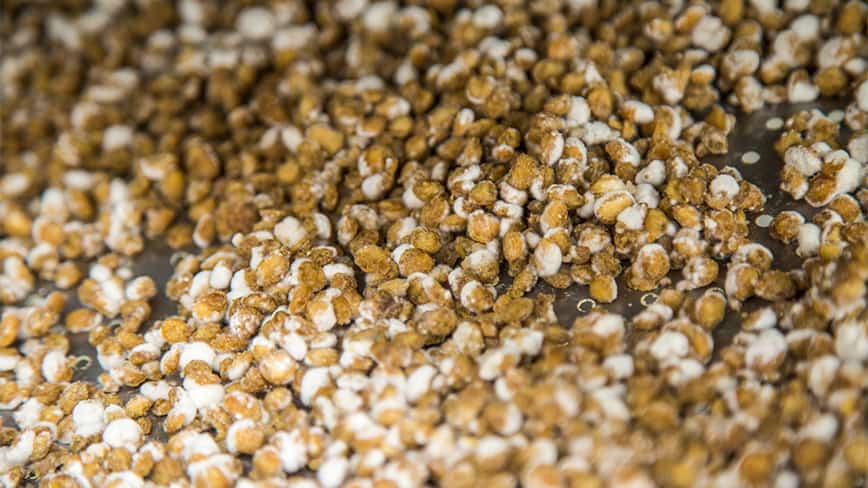 science-bunker-fermentation-2