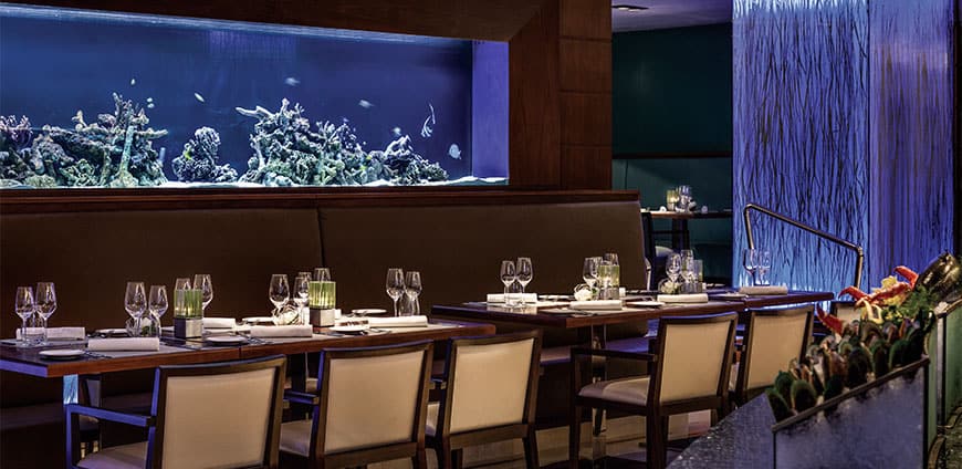 shangri-la-06-slider