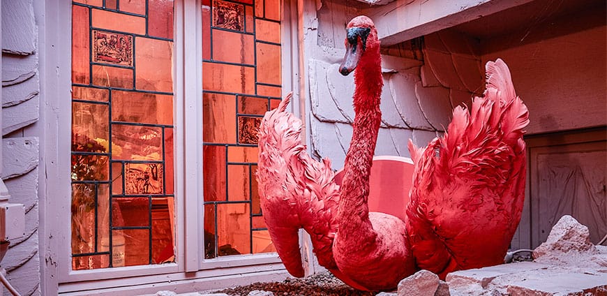 showmanship-04-slider