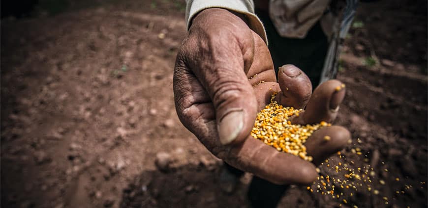 suedamerika-01-slider