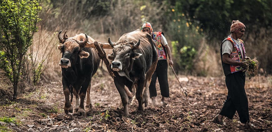 suedamerika-06-slider