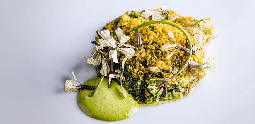 villi-seppe-03-slider