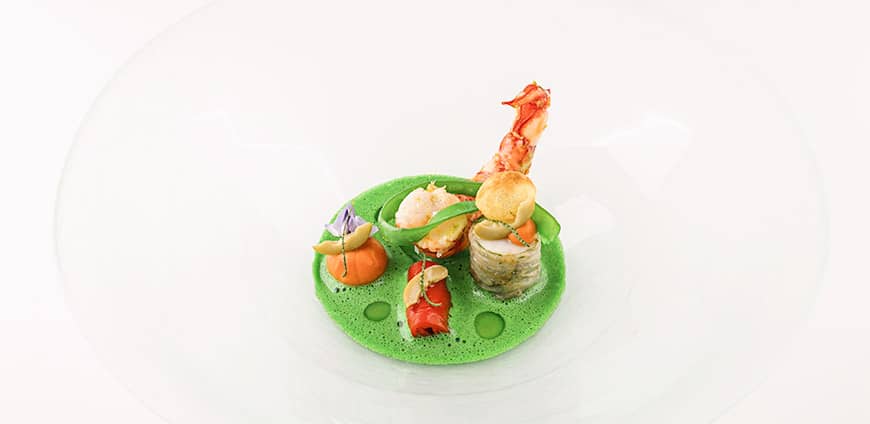 wesolution-02-slider