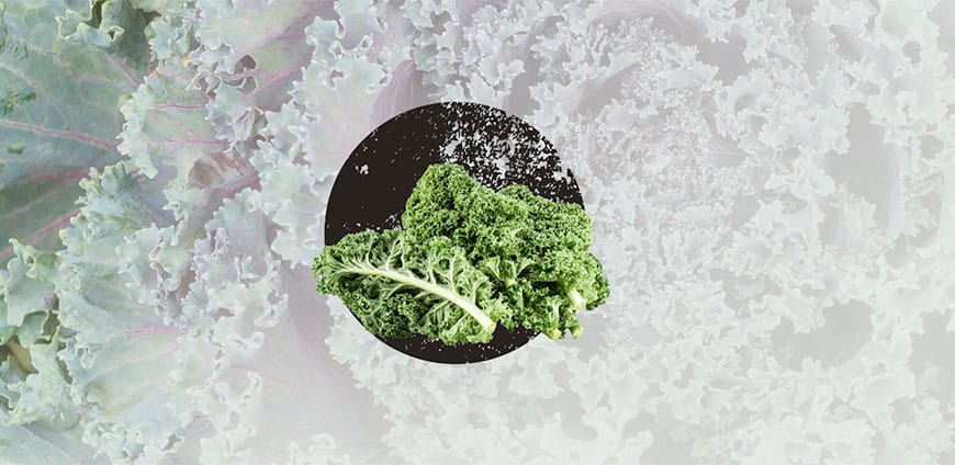 wintergemuese-04-slider