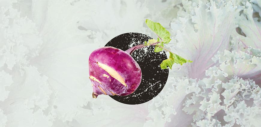 wintergemuese-06-slider