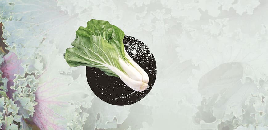 wintergemuese-08-slider