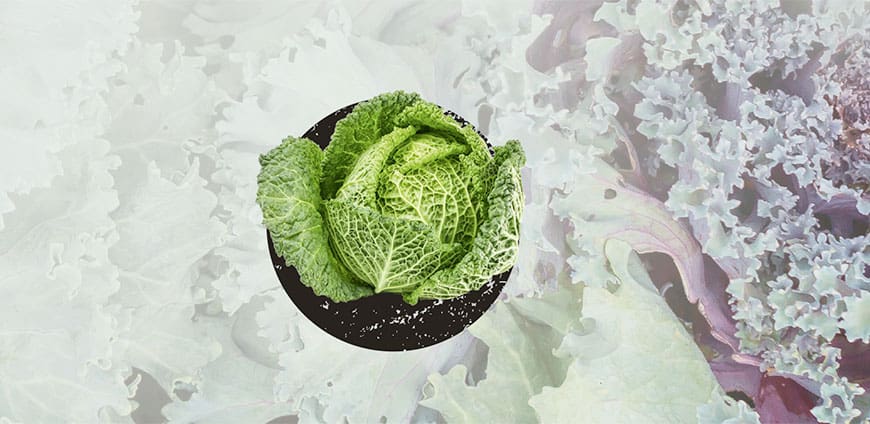 wintergemuese-09-slider