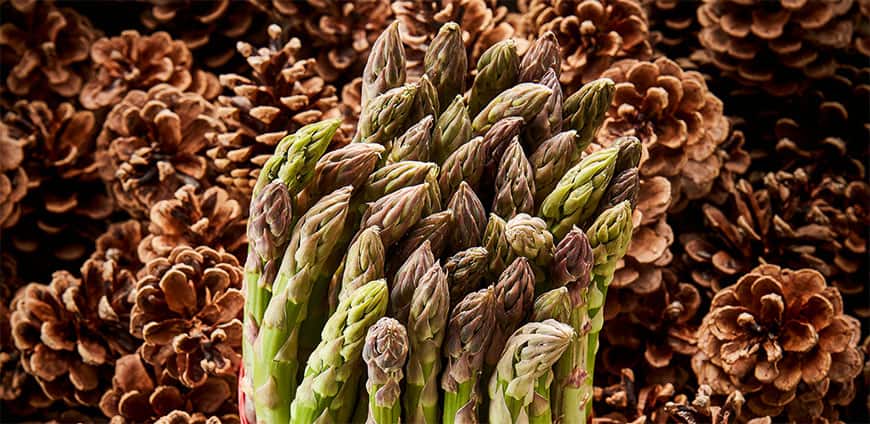 rp236-hangar7-slider1