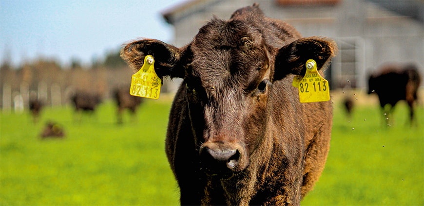 rp239_gip-sepp-kraetz_slider3