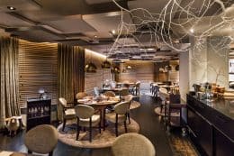 RP241-ha-christophe-hardiquest-3-260x173