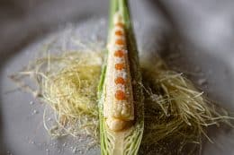 Wolfgang Zankl-Sertl, Pramerl & the Wolf