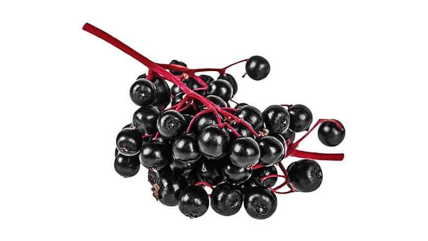 csm_rp235-MD-slider10_7bb16754e7