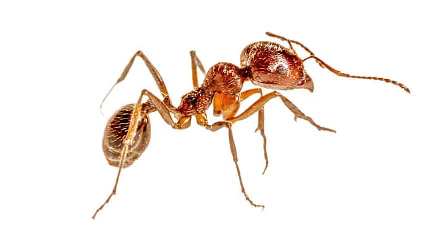 csm_rp235-MD-slider7_6e8581a8d6