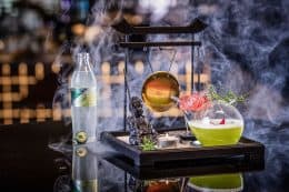 RP242-sip-mario-hofferer-4-260x173