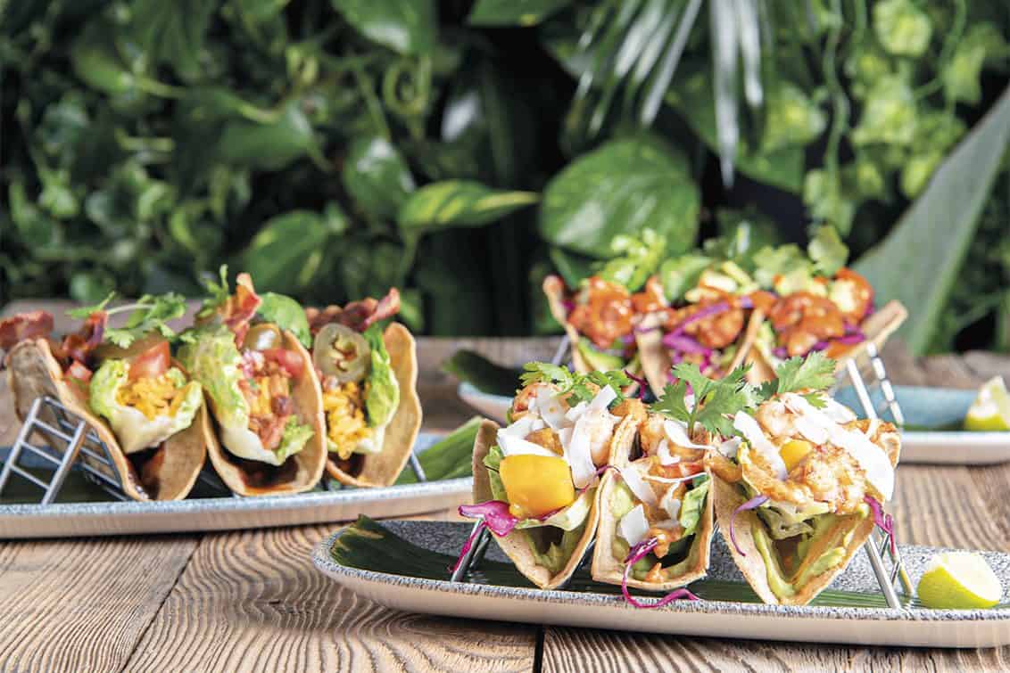 Torsten Petersen, Enchilada