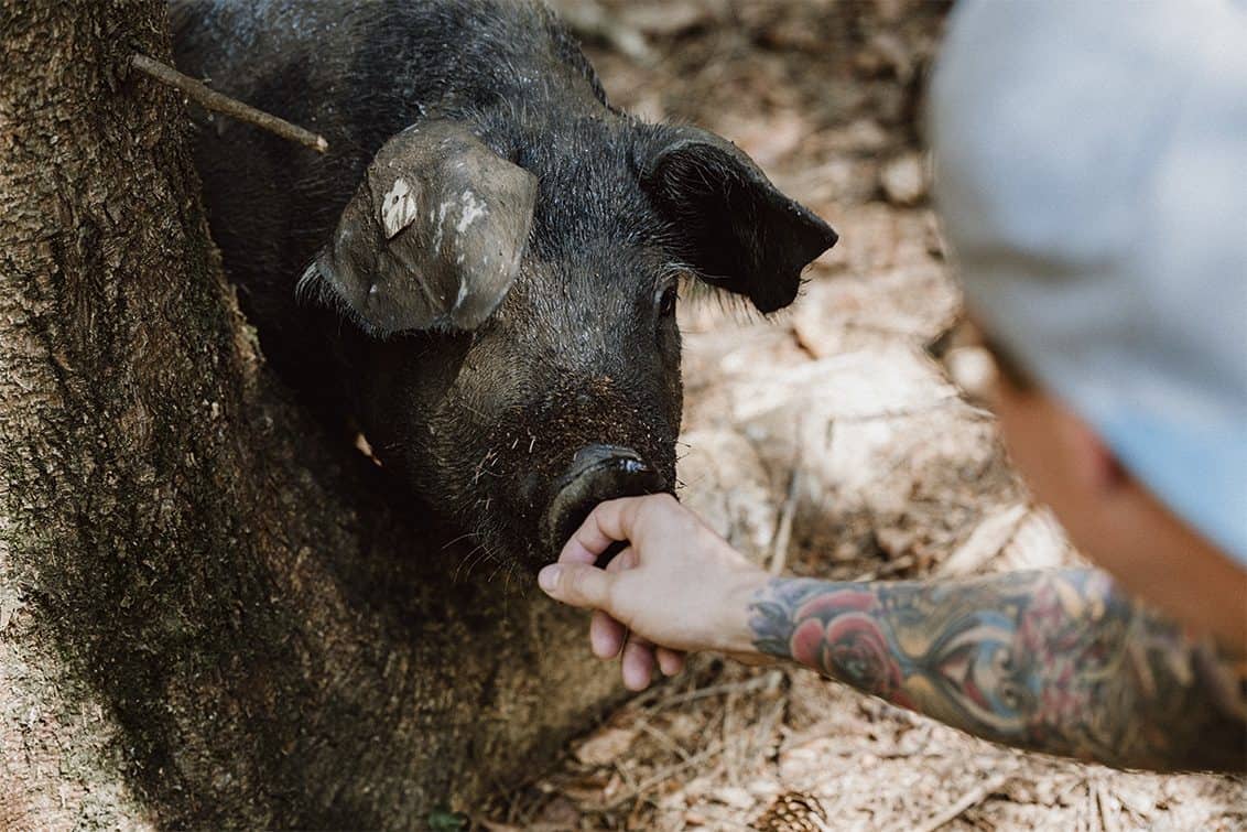 Metzgerei Lappen und Prengel, Köln