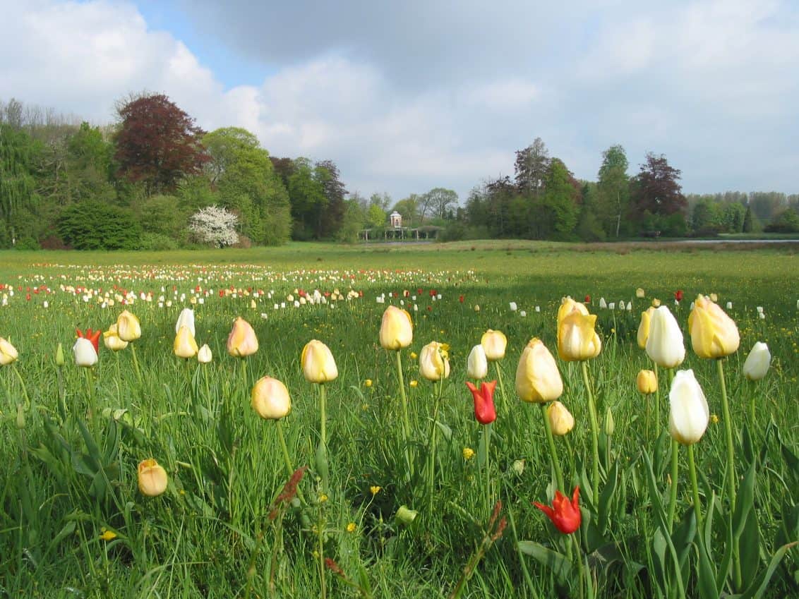 Garden-days-at-Park-of-Beervelde-Park-van-Beervelde-1132x849
