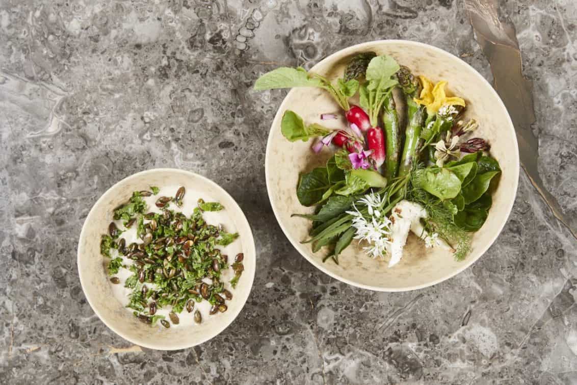 geranium-angelika-1132x755