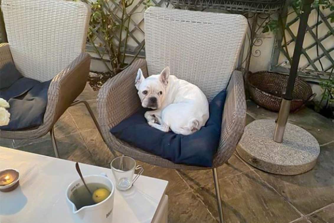 rp251-aeb-haya-molcho-5