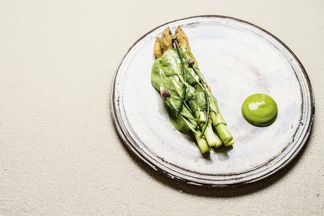 rp-259-cs-Eselböck-6