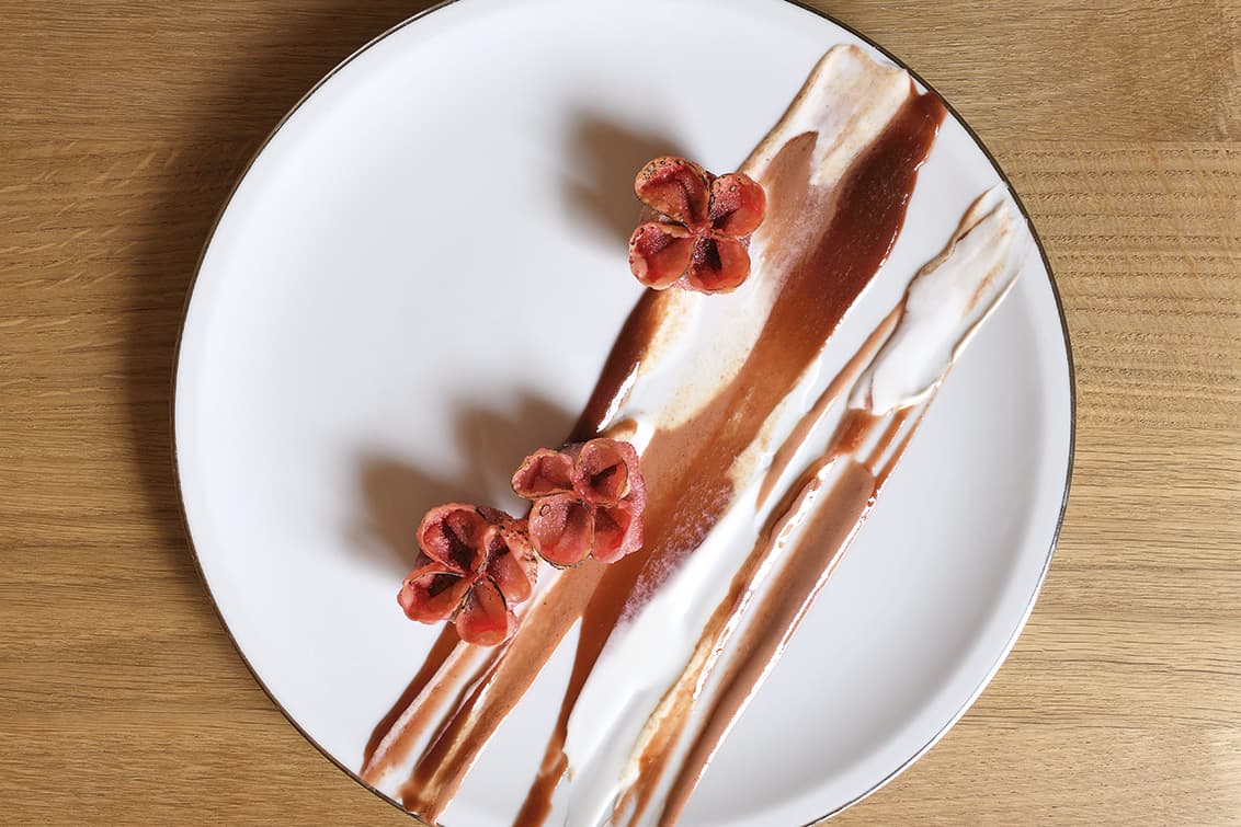 rp-259-spst-Jessica-Rosval-8