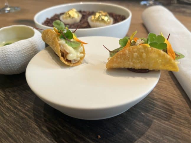 IMG_2259-scaled-e1646215463105