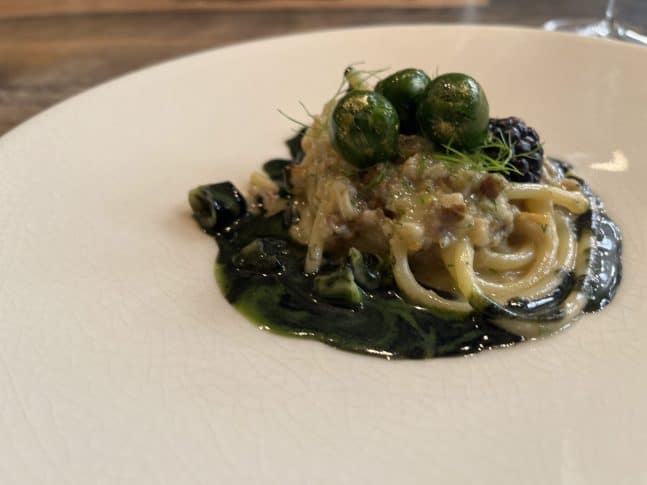 IMG_2359-scaled-e1646215508235