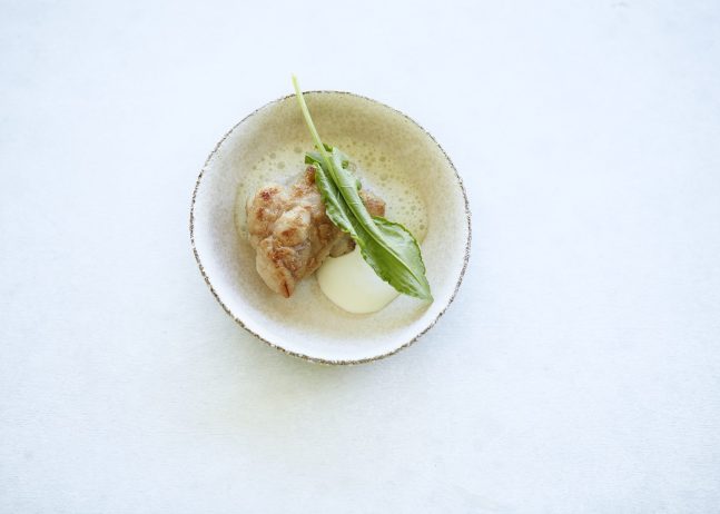 JamesBaron_BriesSauerampfer-©-Krone-La-Punt-Sylvan-Müller-scaled-e1658308757214