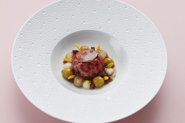 Ikarus_Team_RP_2_026-scaled-e1659959381427