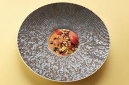 rp268-cotm-martin-klein-5-260x173