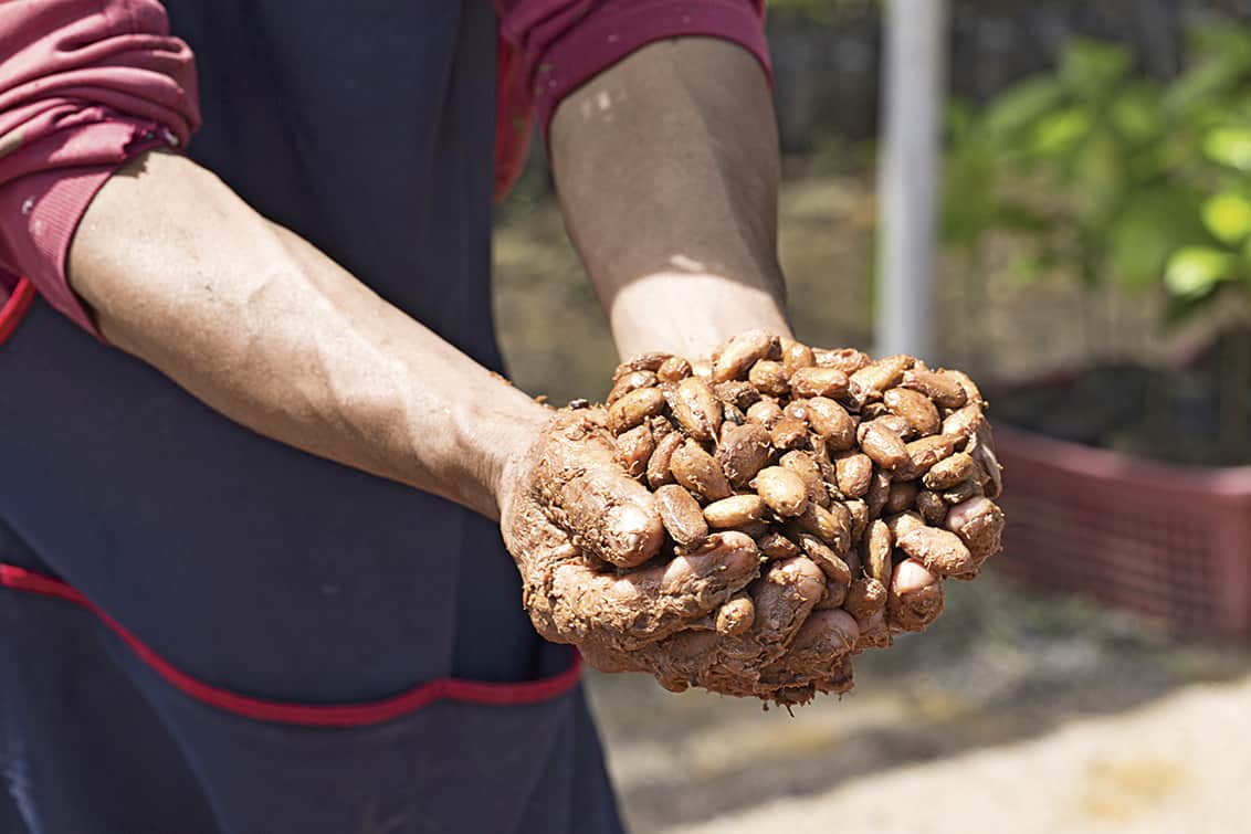 rp269-fb-schokolade-8