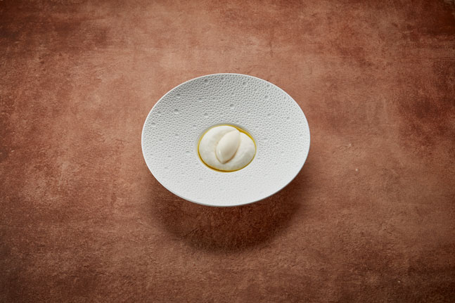 SI202212020304_hires_jpeg_24bit_rgb