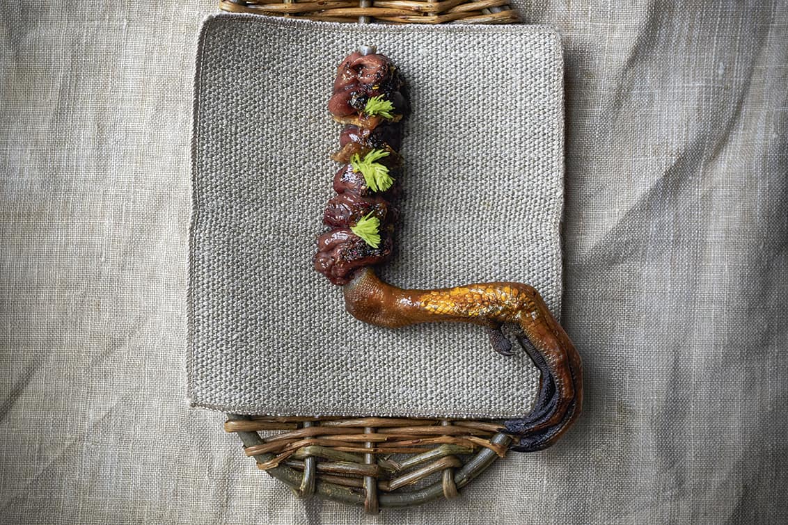 rp272-spst-noma-aus-4