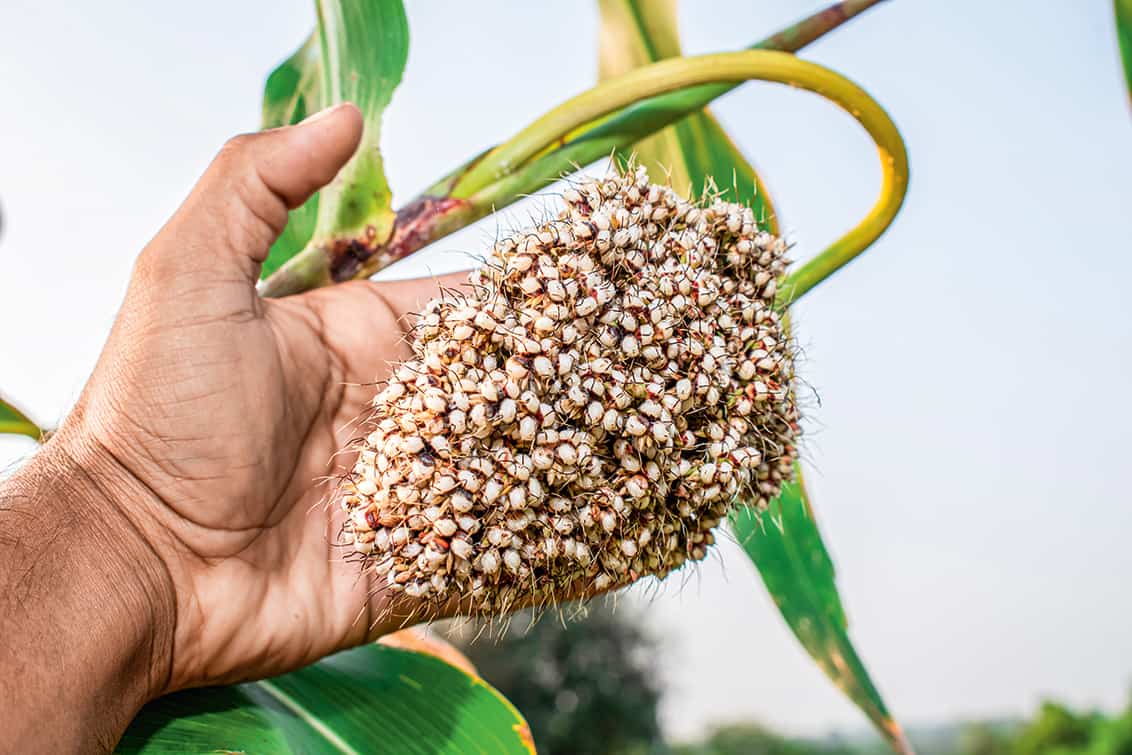 rp276-fr-bertus-basson-11