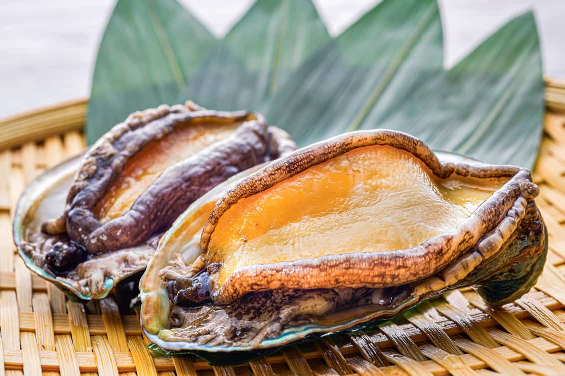 rp276-fr-bertus-basson-6