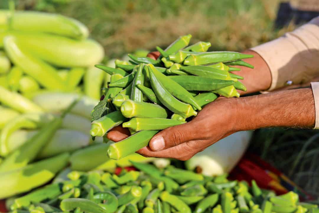 shutterstock_2161087453