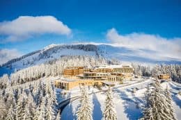 rp279-tait-rebecca-penz-2-260x173