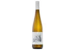 rp279-wdm-riesling-Windbichel-260x173