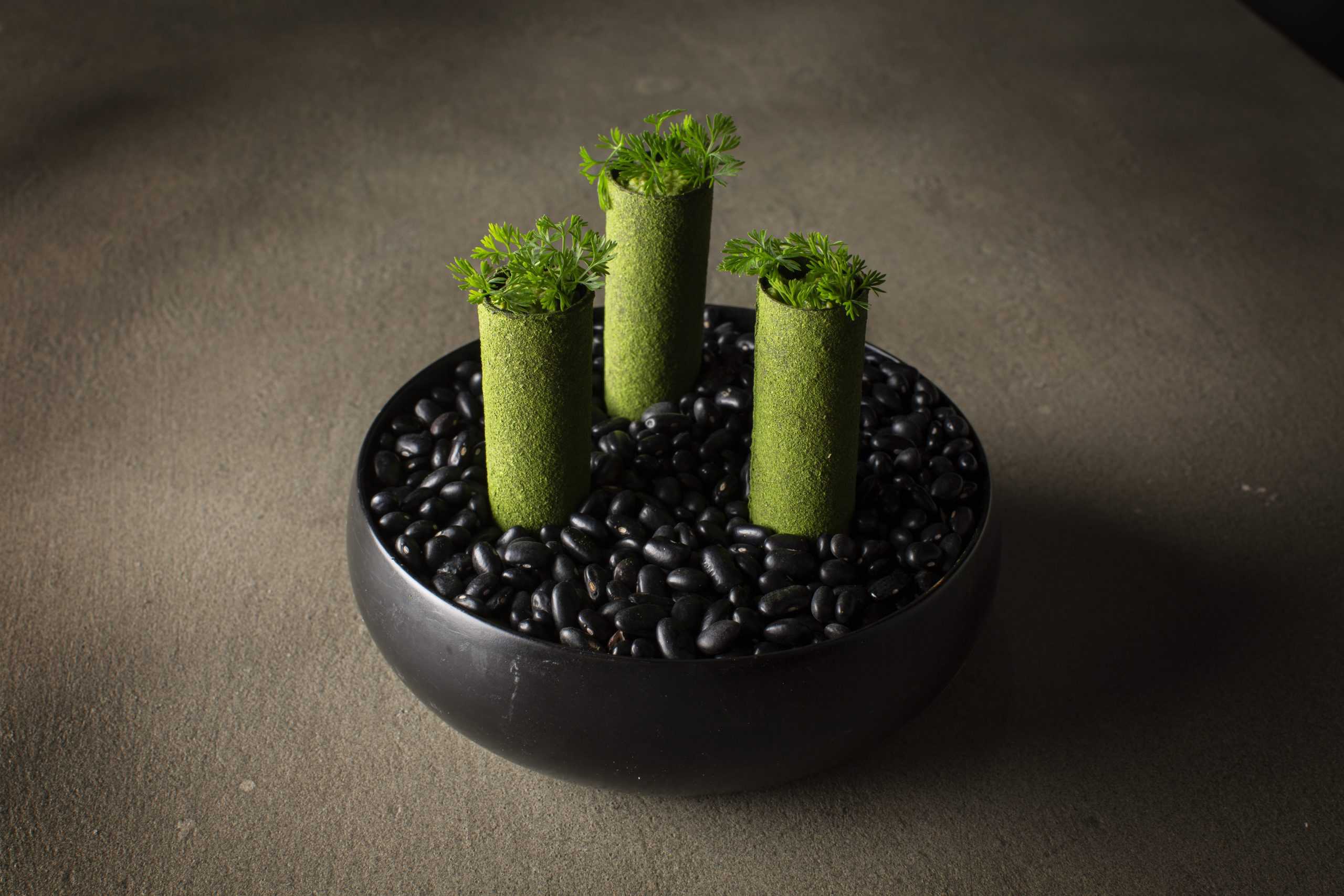 D39FD54F-A007-462B-B645-DBC008391E81-scaled