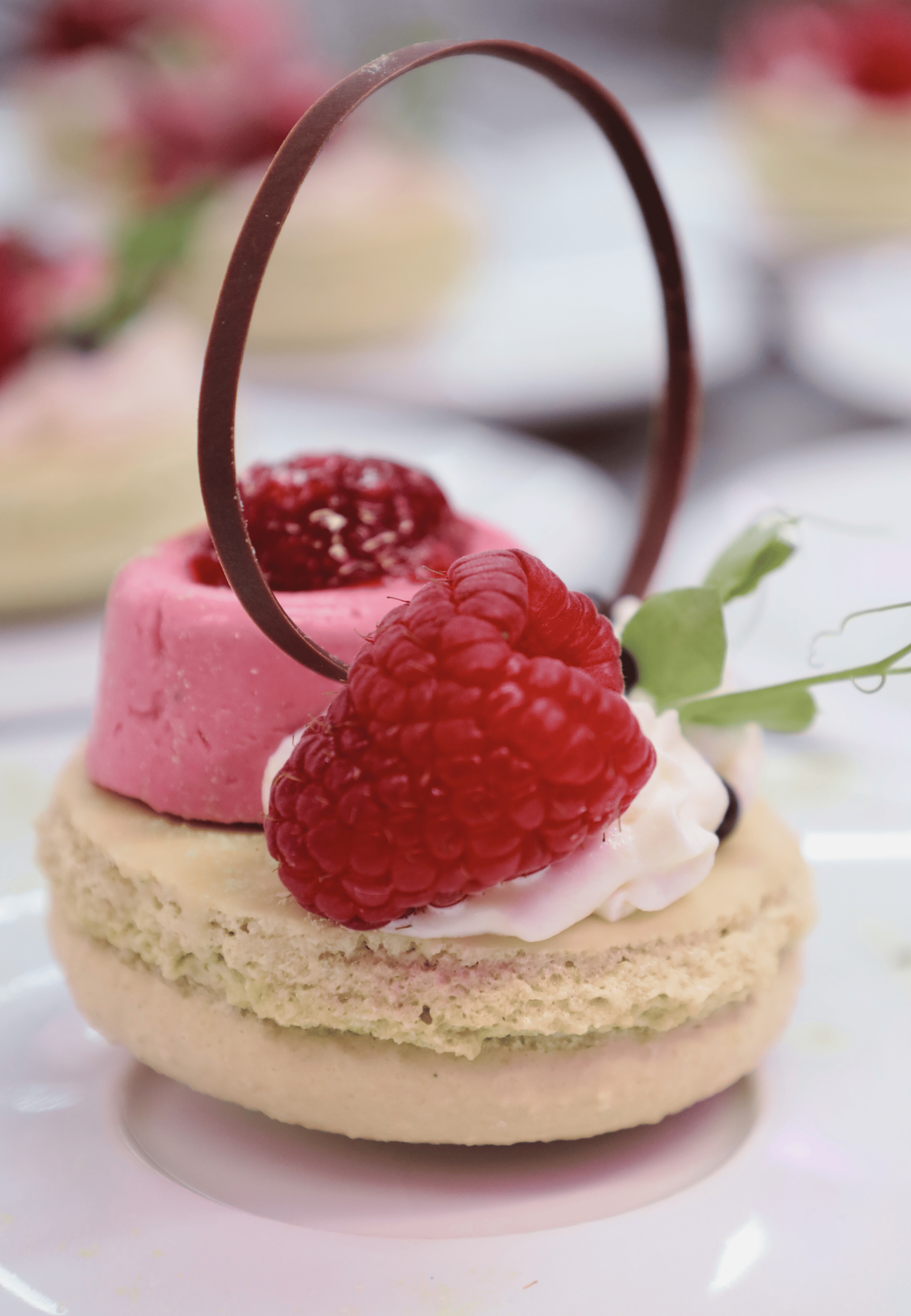 Himbeermacaron©Christina-Hertrich