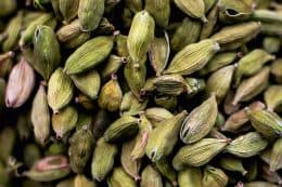 rp280-fb-myriam-ettahri-5-260x173