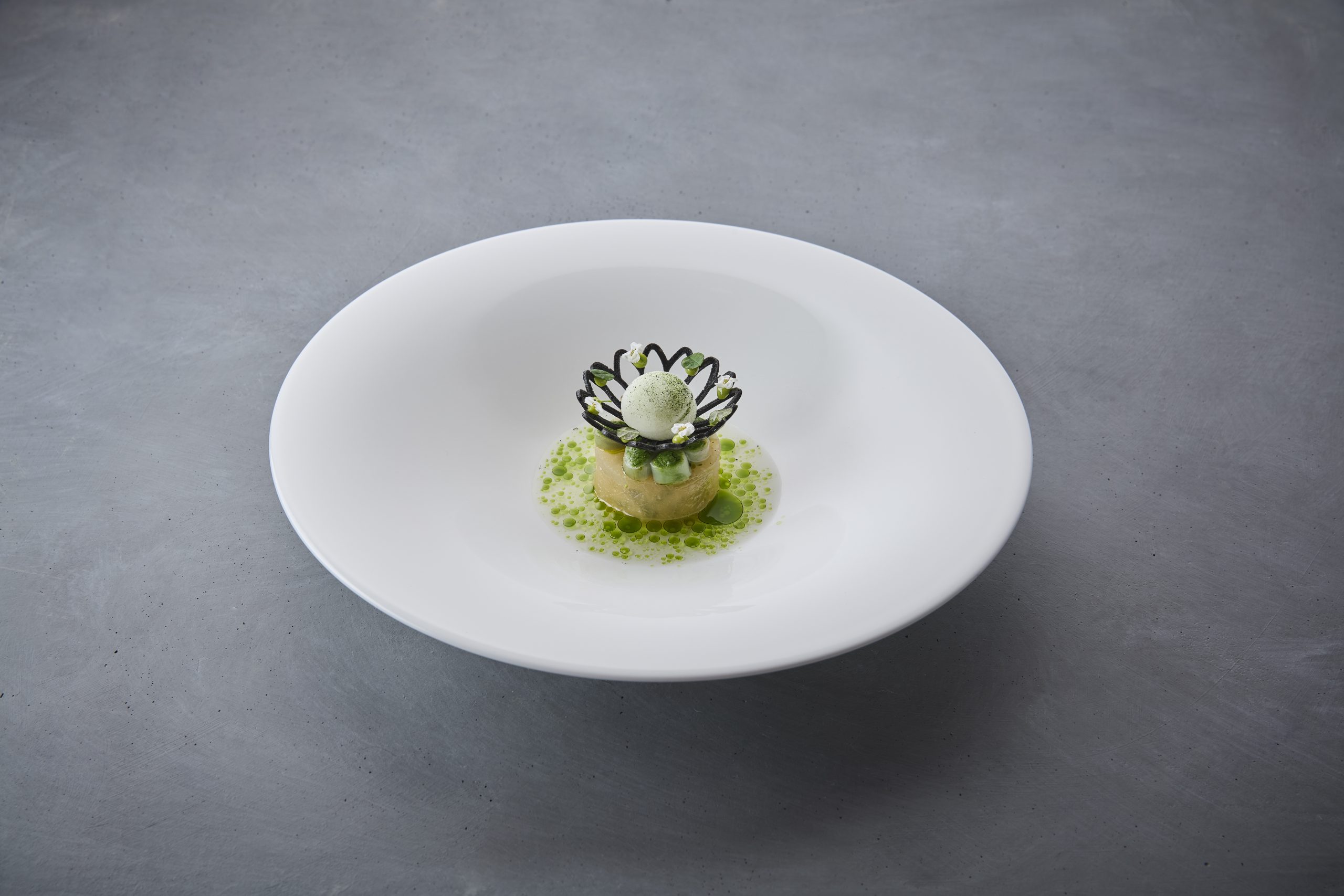 SI202404020396_hires_jpeg_24bit_rgb-scaled