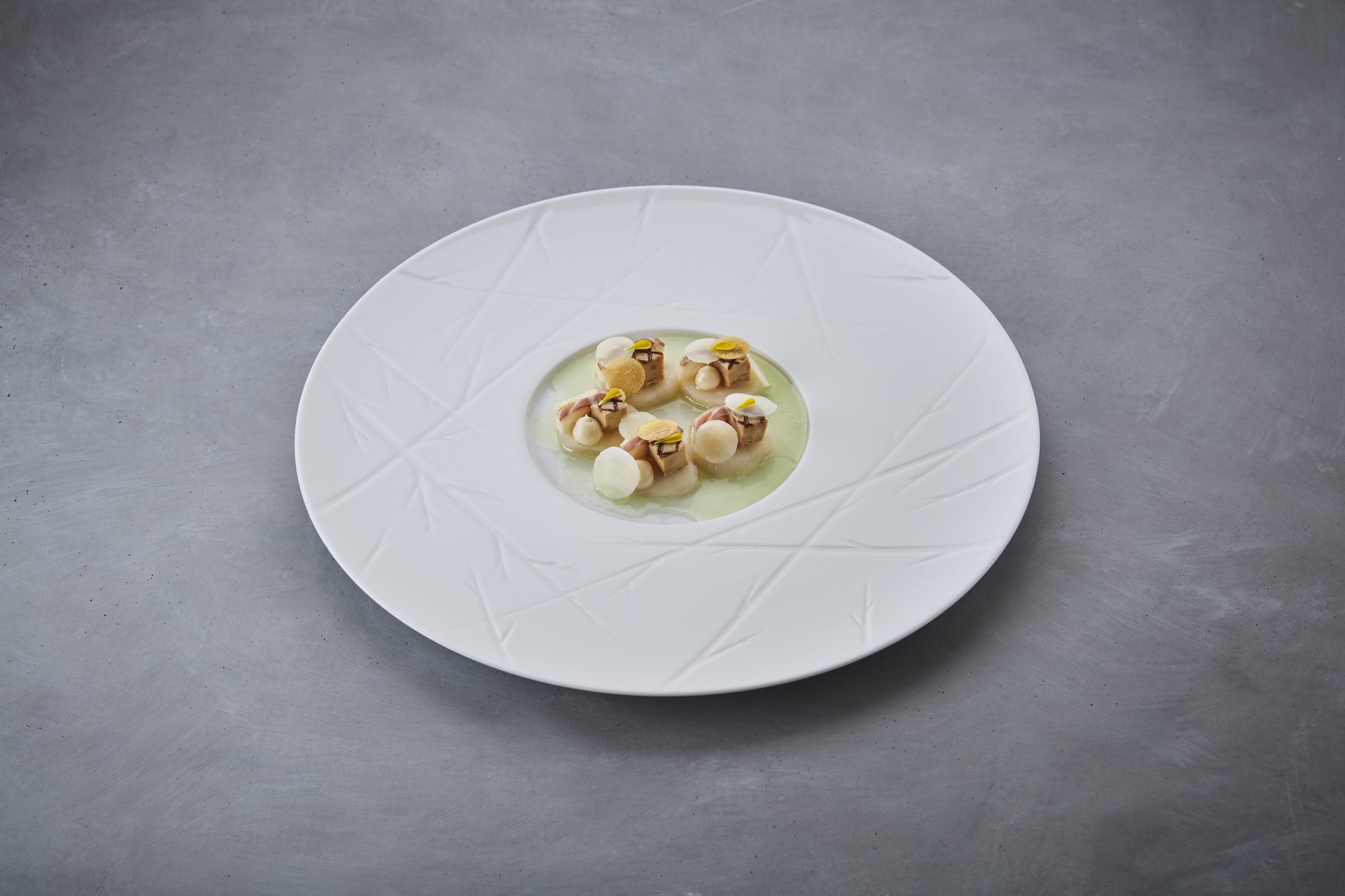 SI202404020402_hires_jpeg_24bit_rgb-scaled