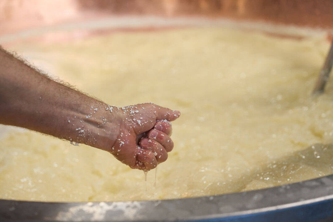 2025.04.01.METRO_Zanetti_DSC00268