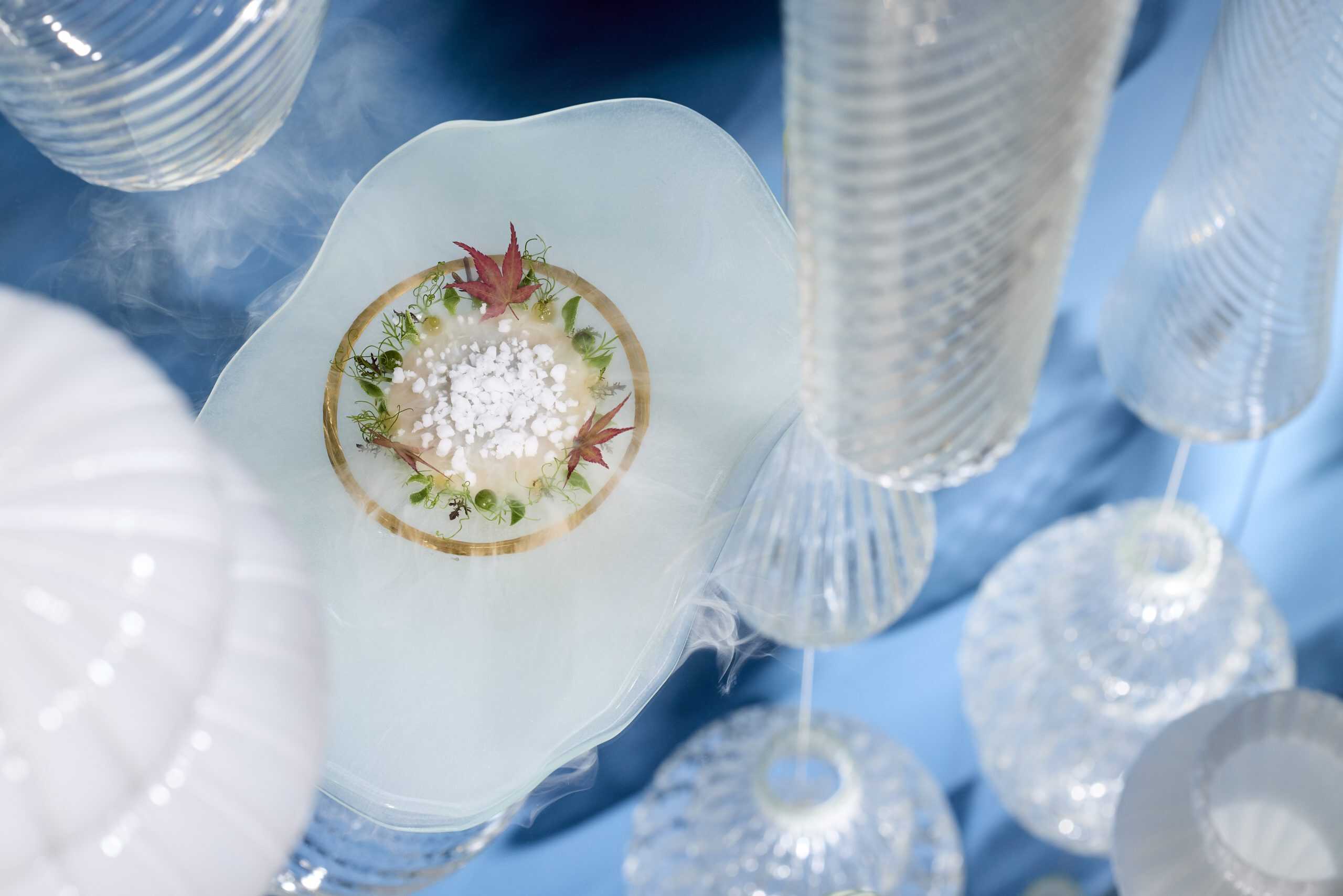 VVP_7753_VVP_7753_20250403_OCEAN_Dish_0103RN-scaled